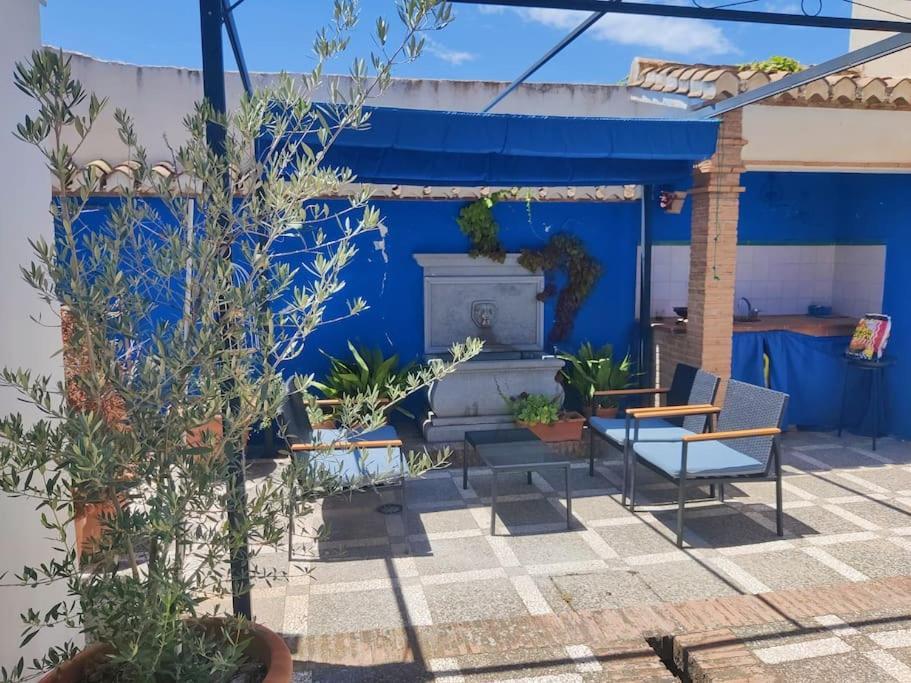 Lolas Cozy Studio 格拉纳达 外观 照片